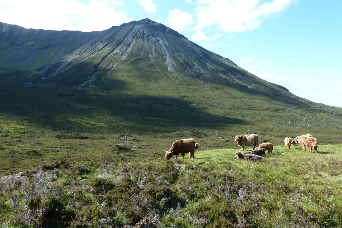 รูปถ่าย อังกฤษ(United Kingdom) เกาะสกาย(Skye) เทือกเขาคูลิน(The Cuillin) 2011-07 129