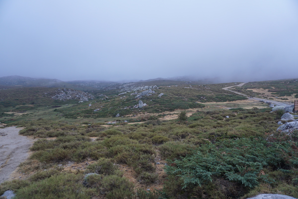 รูปถ่าย ฝรั่งเศส(France) คอร์สิคา(Corsica) อัลตาร็อกกา(Alta Rocca) 2017-09 36