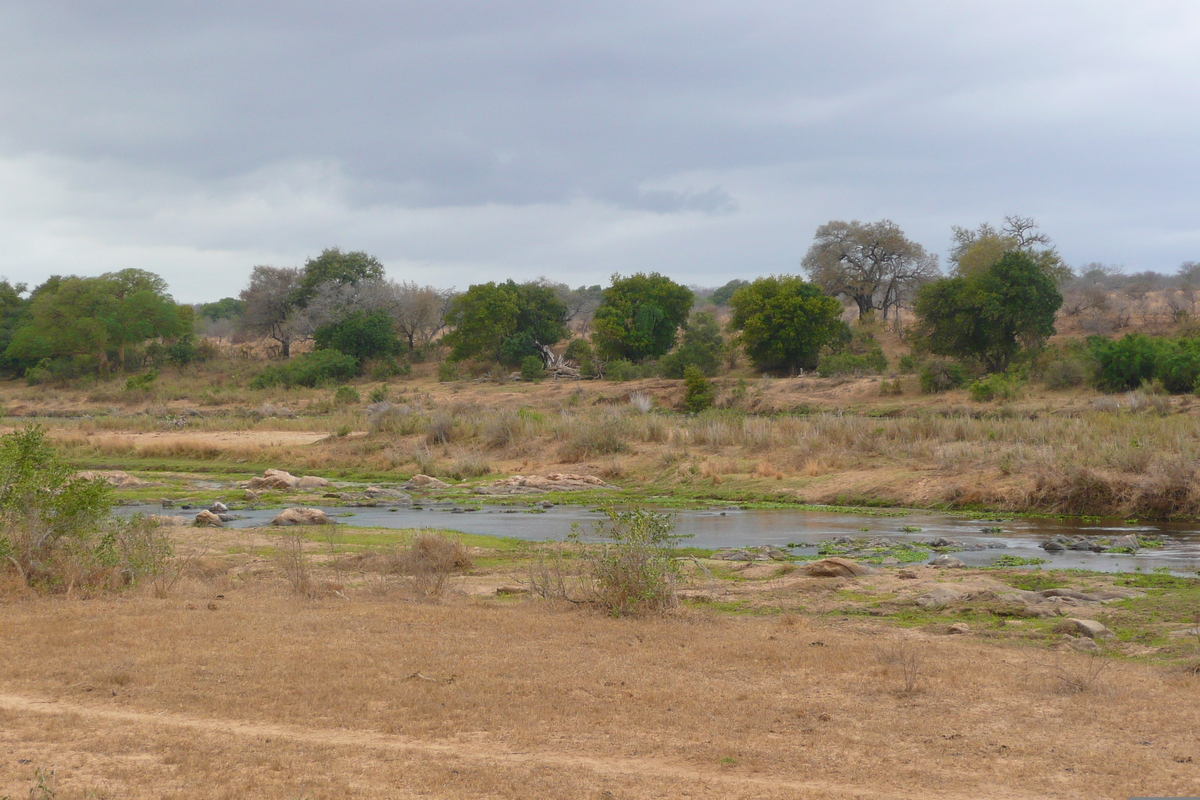 รูปถ่าย แอฟริกาใต้(South Africa) อุทยานแห่งชาติครูเกอร์(Kruger National Park) แม่น้ำครอกโคไดล์(Crocodile River) 2008-09 65