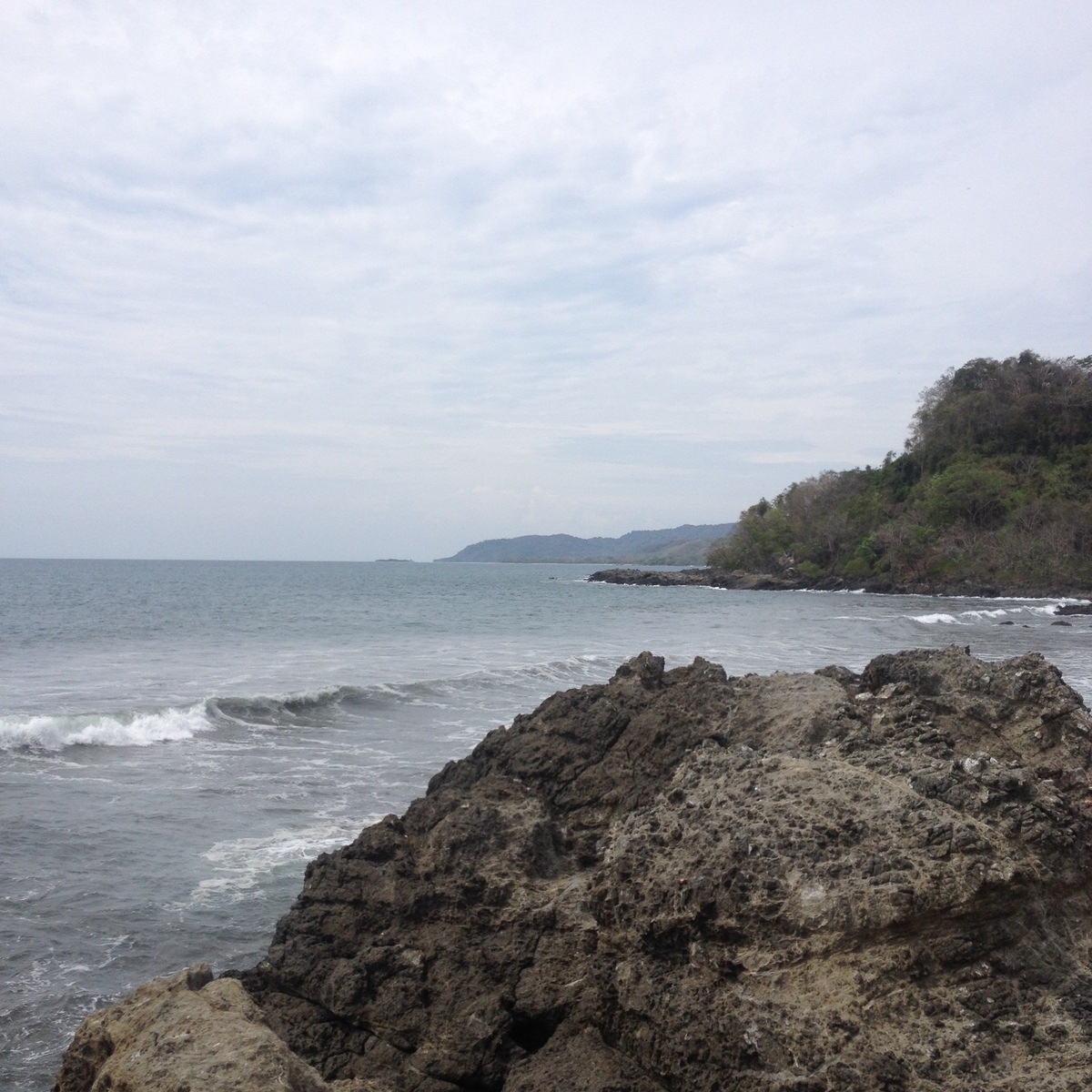 รูปถ่าย คอสตาริกา(Costa Rica) มอนเตซูมา(Montezuma) 2015-03 353