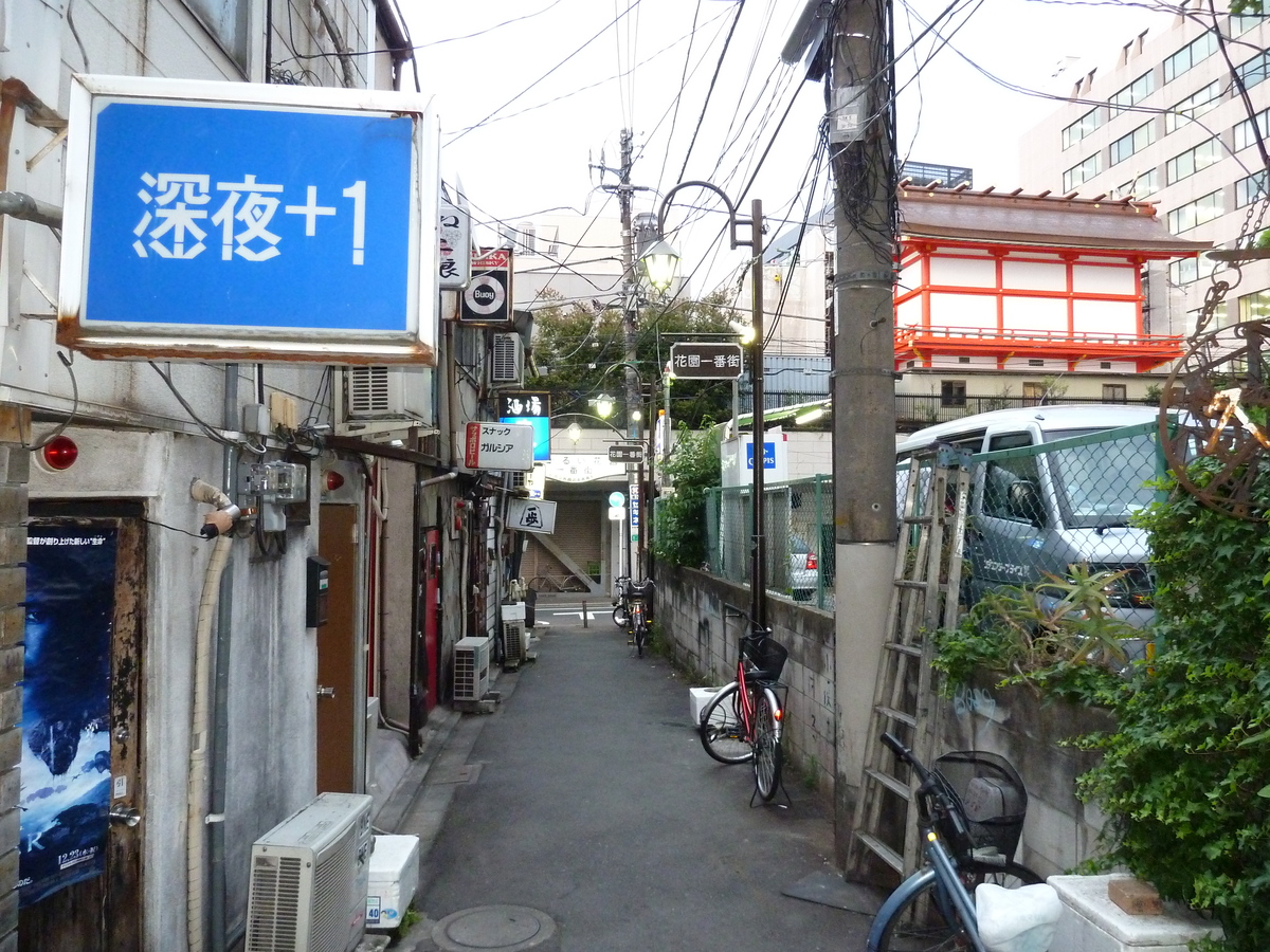 รูปถ่าย ญี่ปุ่น(Japan) โตเกียว(Tokyo) ชินจูกุ(Shinjuku) 2010-06 40