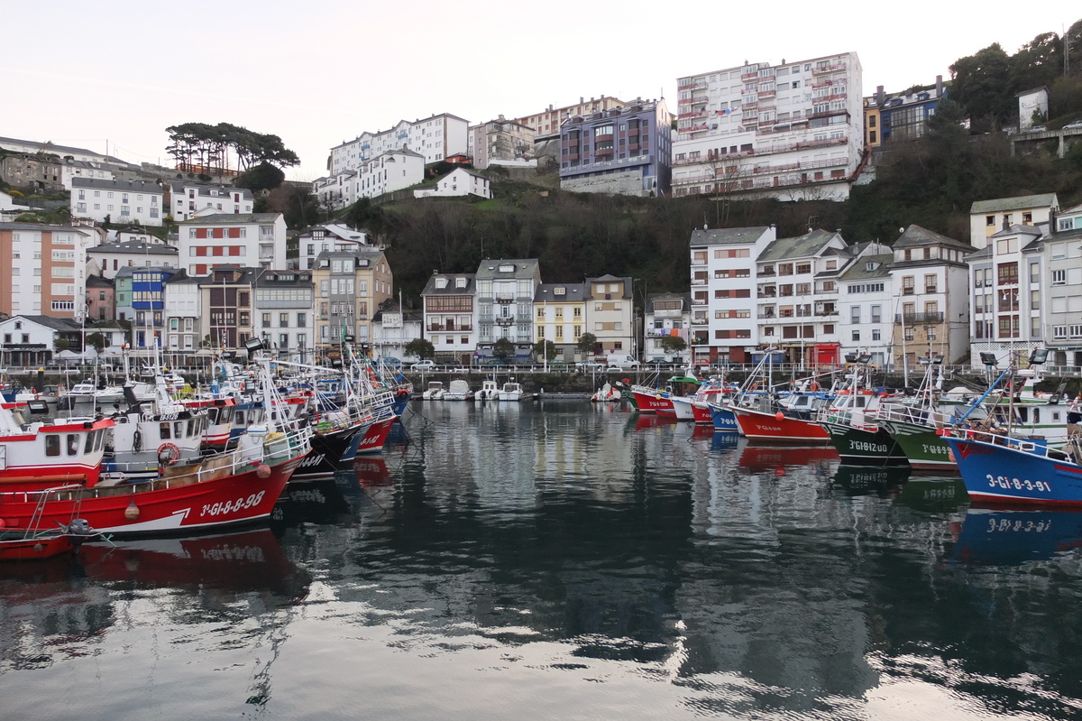 รูปถ่าย สเปน(Spain) ลูอาร์กา(Luarca) 2013-01 14