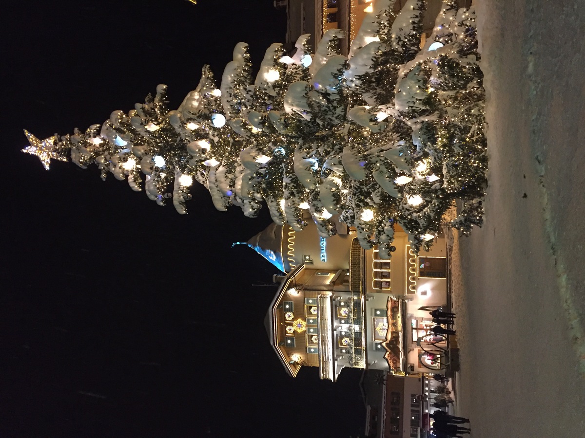 รูปถ่าย ฝรั่งเศส(France) เมแฌฟว์(Megeve) 2016-02 102