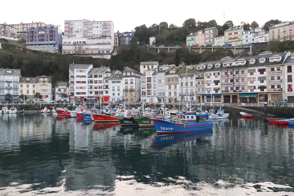 รูปถ่าย สเปน(Spain) ลูอาร์กา(Luarca) 2013-01 19