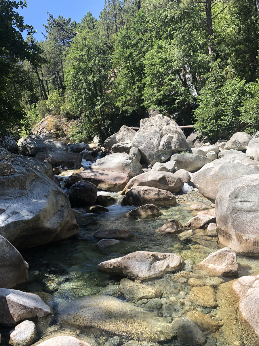 รูปถ่าย ฝรั่งเศส(France) คอร์สิคา(Corsica) หุบเขาลาเรสโตนีกา(La Restonica) 2020-07 111