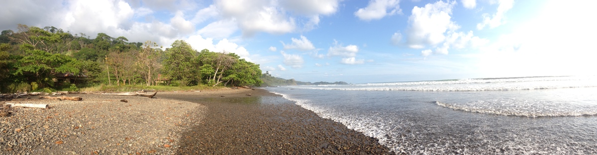 รูปถ่าย คอสตาริกา(Costa Rica) โดมินิกัล(Dominical) 2015-03 93
