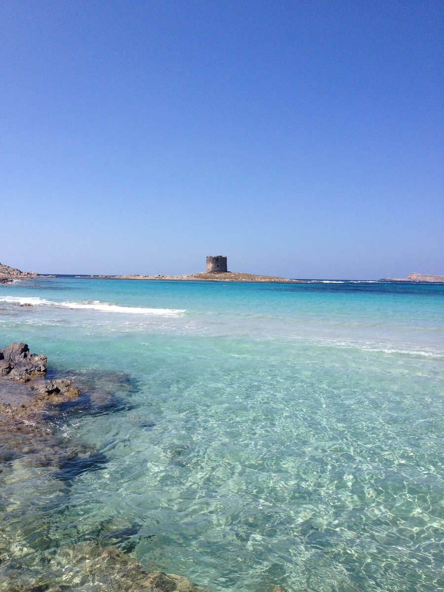 รูปถ่าย อิตาลี(Italy) ซาร์ดิเนีย(Sardinia) แหลมกาโปเดลฟัลโกเน(Capo del Falcone) 2015-06 61