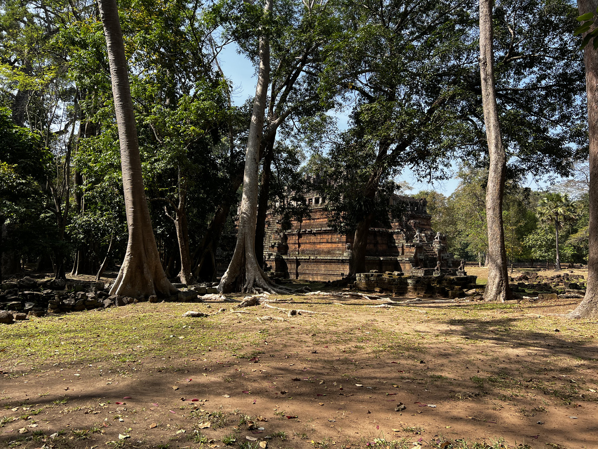 รูปถ่าย กัมพูชา(Cambodia) เสียมราฐ(Siem Reap) นครธม(Angkor Thom) 2023-01 43