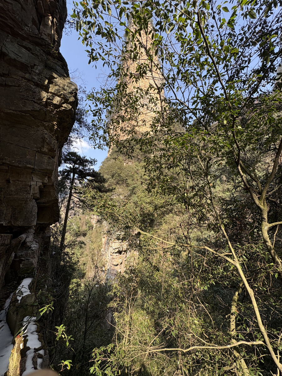 รูปถ่าย จีน(China) จางเจียเจี้ย(Zhangjiajie) ภูเขาเทียนจื่อ(Tianzi Mountain) 2026-01 37