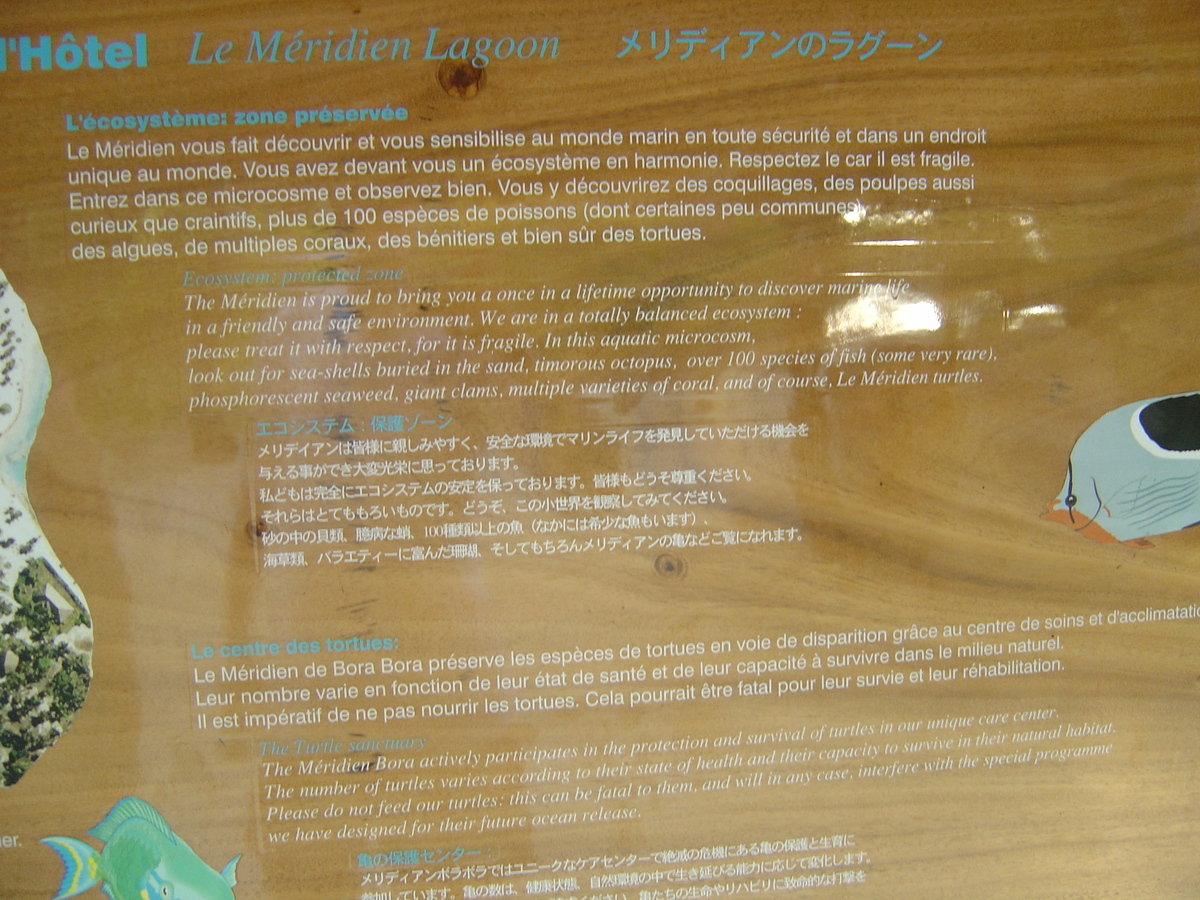 รูปถ่าย เฟรนช์โพลี่นีเซีย(Polynesia) โรงแรมเลอเมอริเดียน โบราโบรา(Meridien Bora Bora Hotel) 2006-04 153