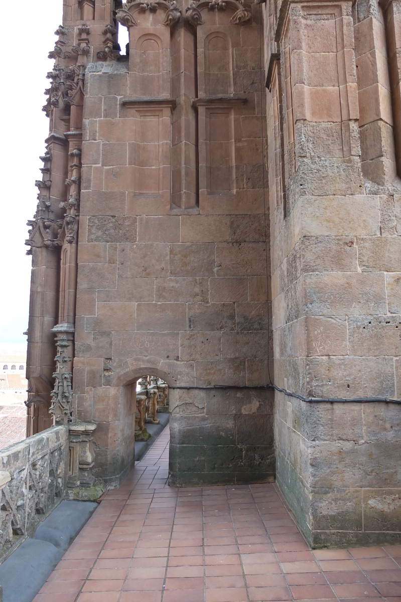 รูปถ่าย สเปน(Spain) ซาลามังกา(Salamanca) 2013-01 139