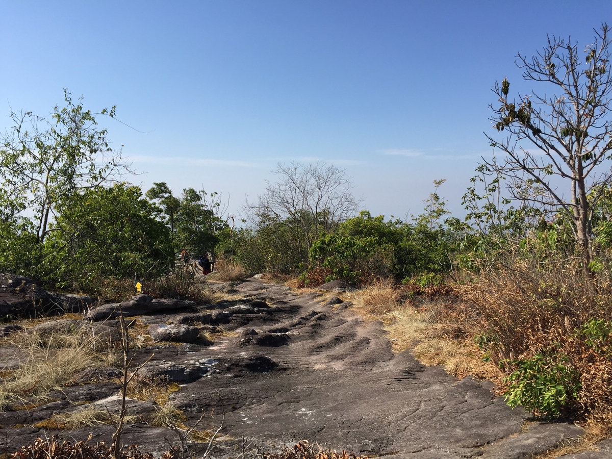รูปถ่าย ไทย(Thailand) อุทยานแห่งชาติภูหินร่องกล้า(Phu Hin Rong Kla National Park) 2014-12 98