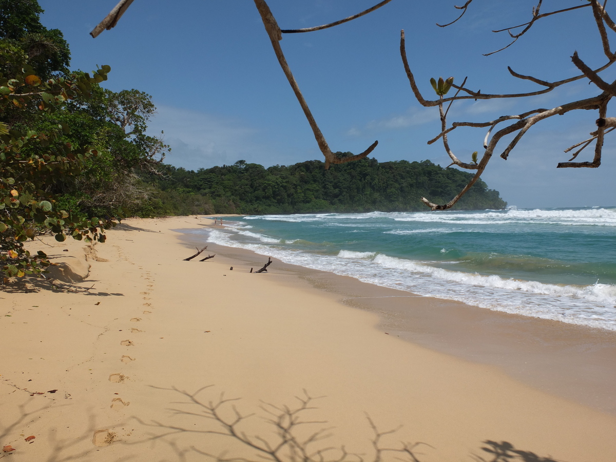 รูปถ่าย ปานามา(Panama) เกาะบาสติเมนโตส(Bastimentos) 2015-03 83