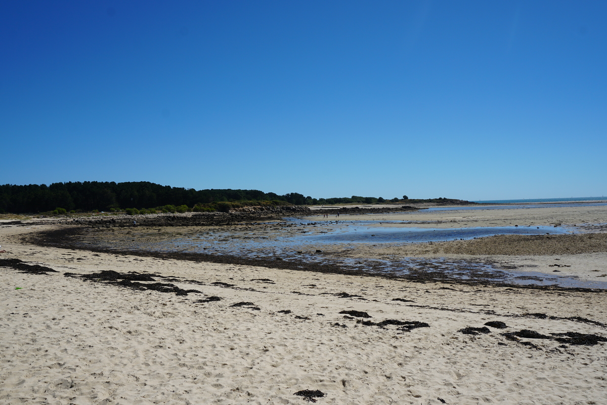 รูปถ่าย ฝรั่งเศส(France) ลาทรีนีเต-ซูร์-แมร์(La Trinite-sur-Mer) 2016-08 2