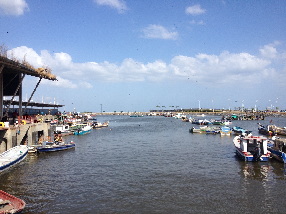 รูปถ่าย ปานามา(Panama) ปานามาซิตี(Panama City) 2015-03 152
