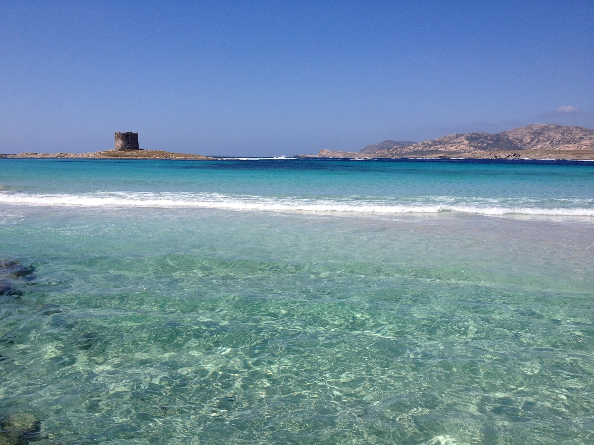 รูปถ่าย อิตาลี(Italy) ซาร์ดิเนีย(Sardinia) แหลมกาโปเดลฟัลโกเน(Capo del Falcone) 2015-06 14