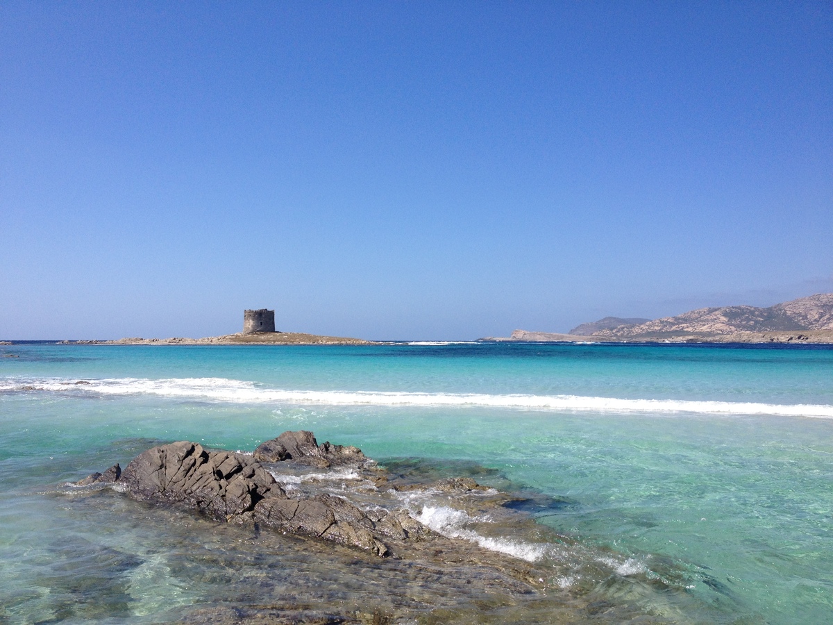 รูปถ่าย อิตาลี(Italy) ซาร์ดิเนีย(Sardinia) แหลมกาโปเดลฟัลโกเน(Capo del Falcone) 2015-06 66
