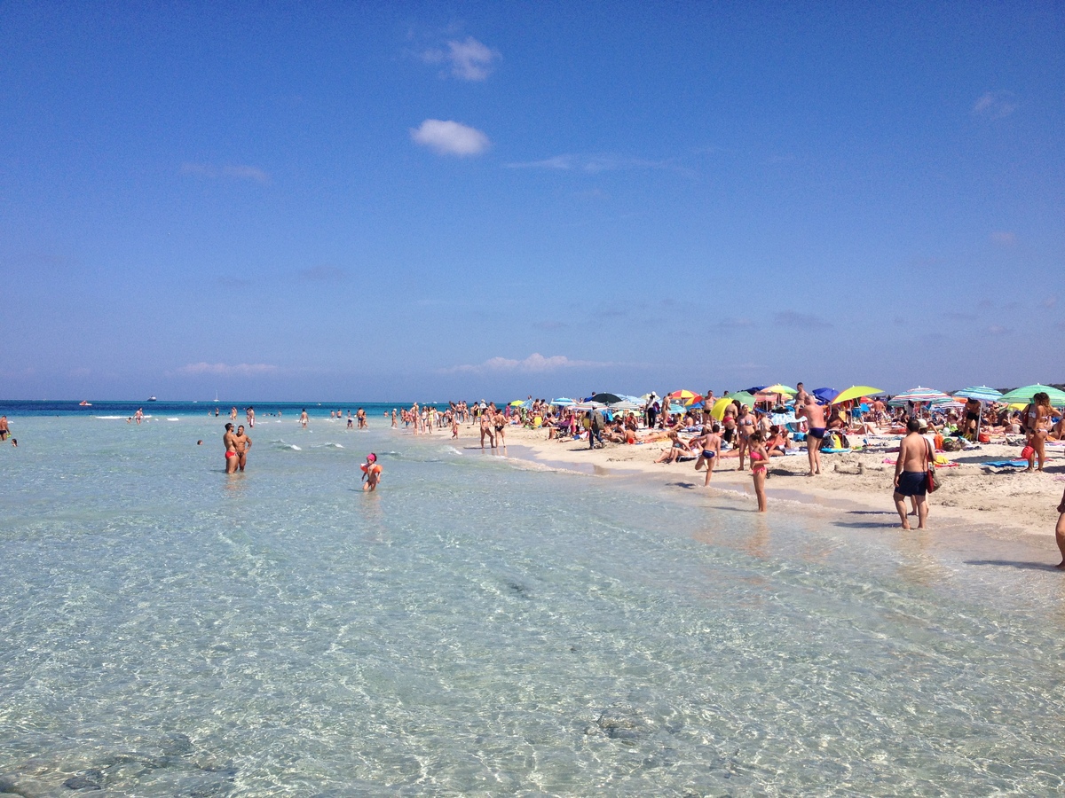 รูปถ่าย อิตาลี(Italy) ซาร์ดิเนีย(Sardinia) แหลมกาโปเดลฟัลโกเน(Capo del Falcone) 2015-06 62