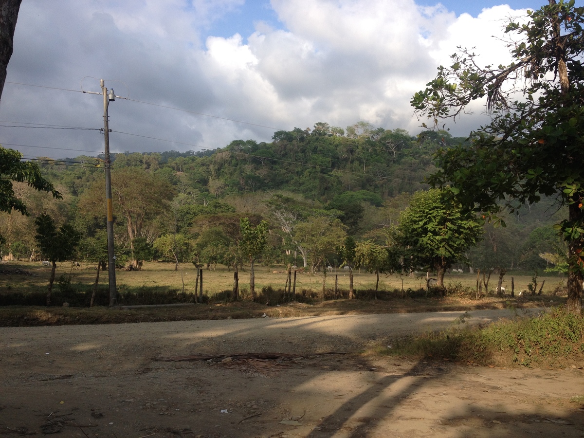 รูปถ่าย คอสตาริกา(Costa Rica) โดมินิกัล(Dominical) 2015-03 125
