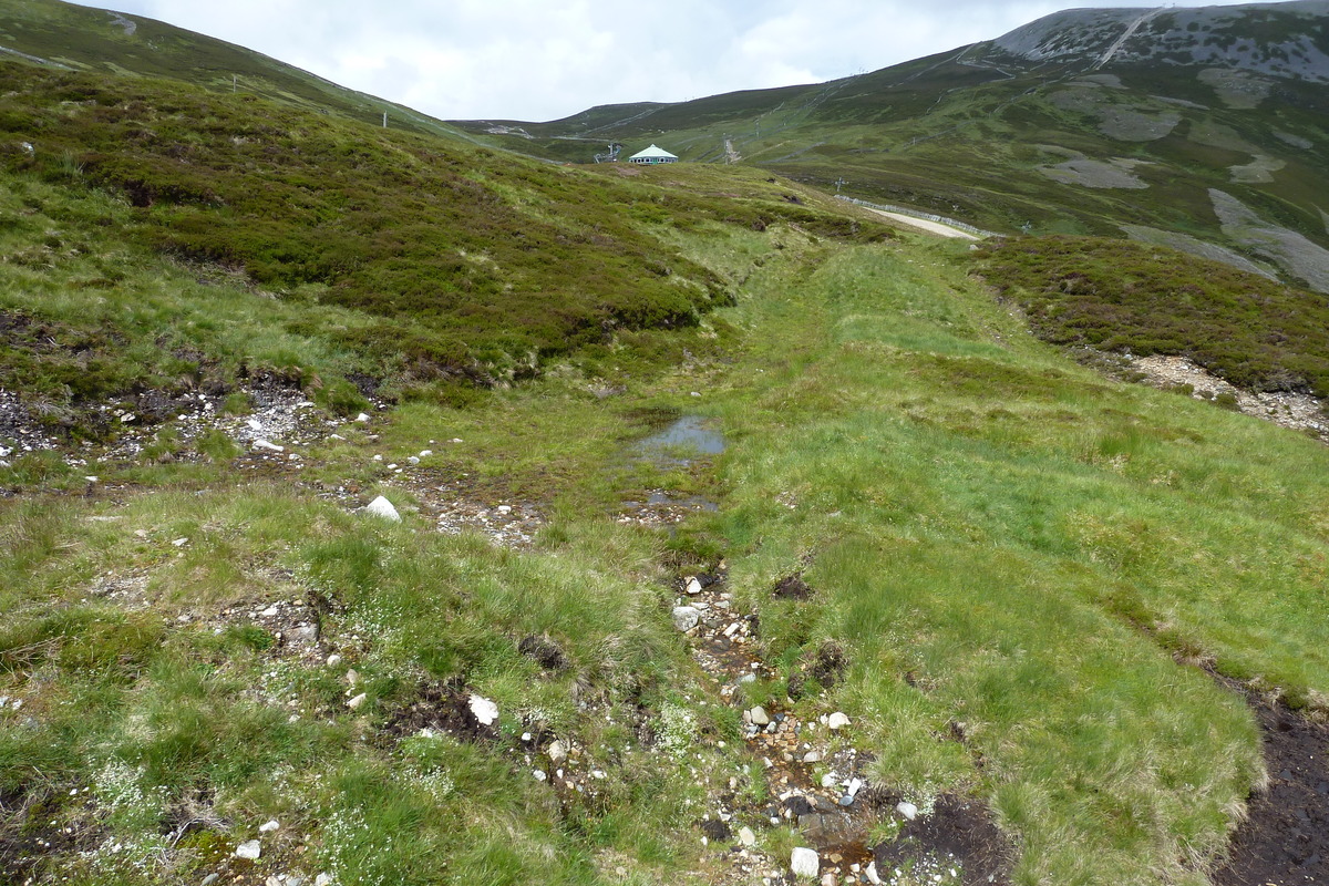 รูปถ่าย อังกฤษ(United Kingdom) อุทยานแห่งชาติแคร์นกอร์มส์(Cairngorms National Park) 2011-07 76