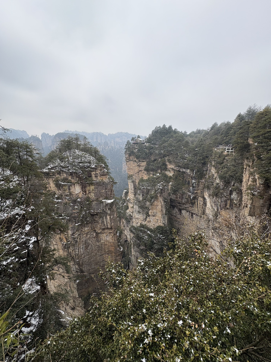 รูปถ่าย จีน(China) จางเจียเจี้ย(Zhangjiajie) 2026-01 66