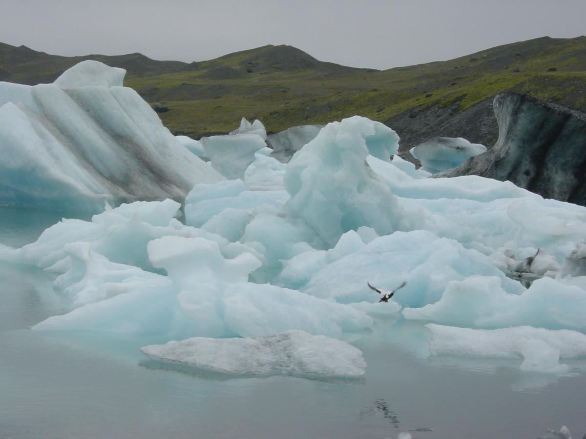รูปถ่าย ไอซ์แลนด์(Iceland) โจกูลซาร์ลง(Jokulsarlon) 2003-06 29