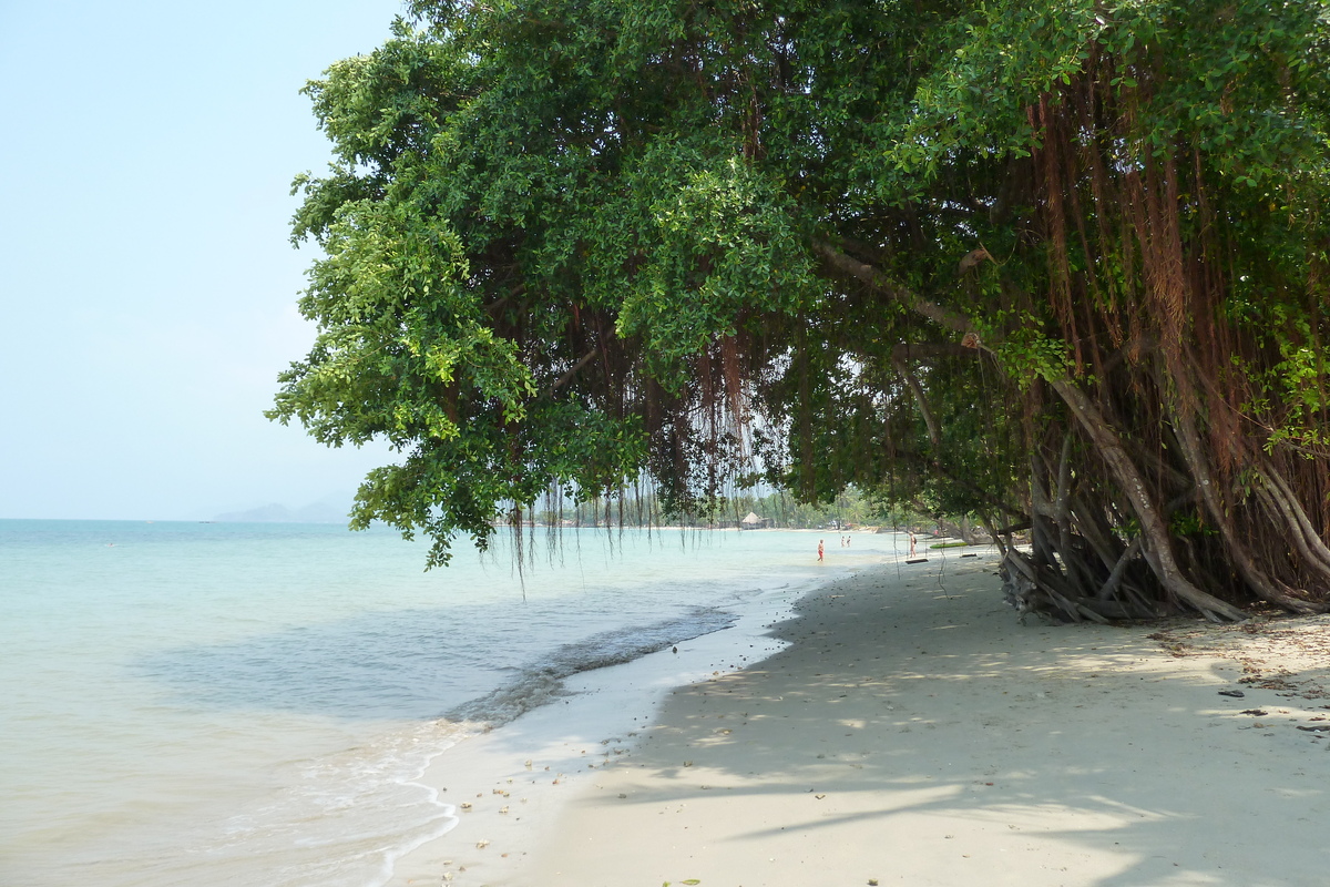 รูปถ่าย ไทย(Thailand) เกาะช้าง(Ko Chang) หาดคลองพร้าว(Klong Prao beach) 2011-02 89