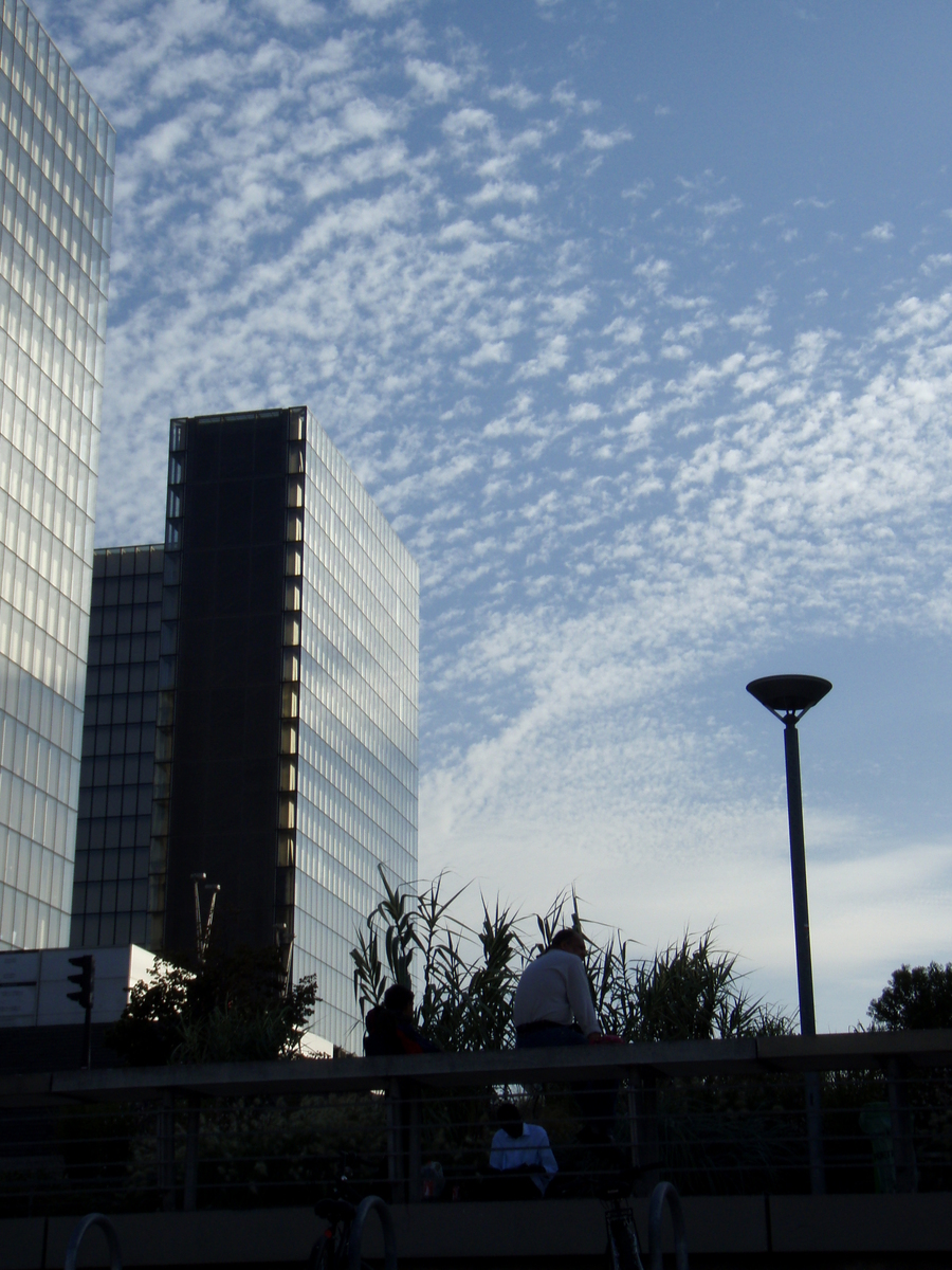 รูปถ่าย ฝรั่งเศส(France) ปารีส(Paris) ปารีสพลาจ แบร์ซี(Paris Plage Bercy) 2007-08 3