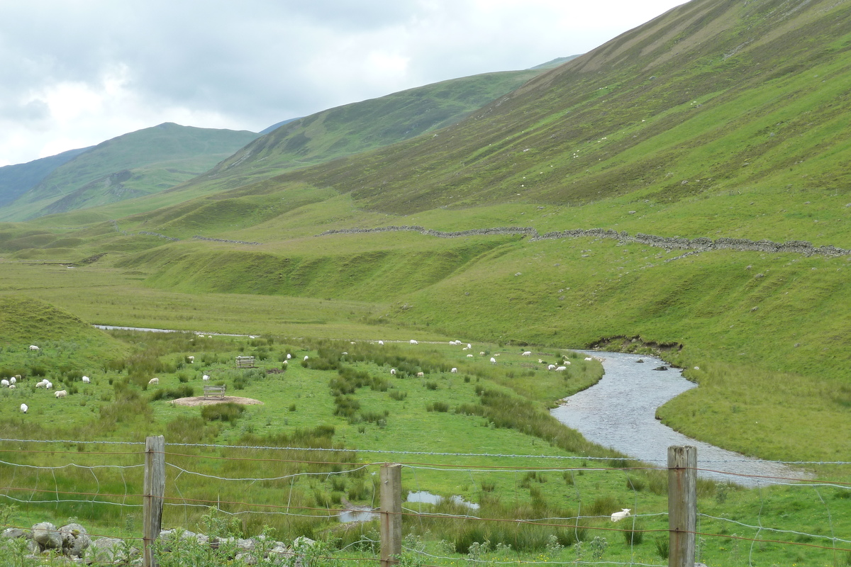 รูปถ่าย อังกฤษ(United Kingdom) อุทยานแห่งชาติแคร์นกอร์มส์(Cairngorms National Park) 2011-07 52