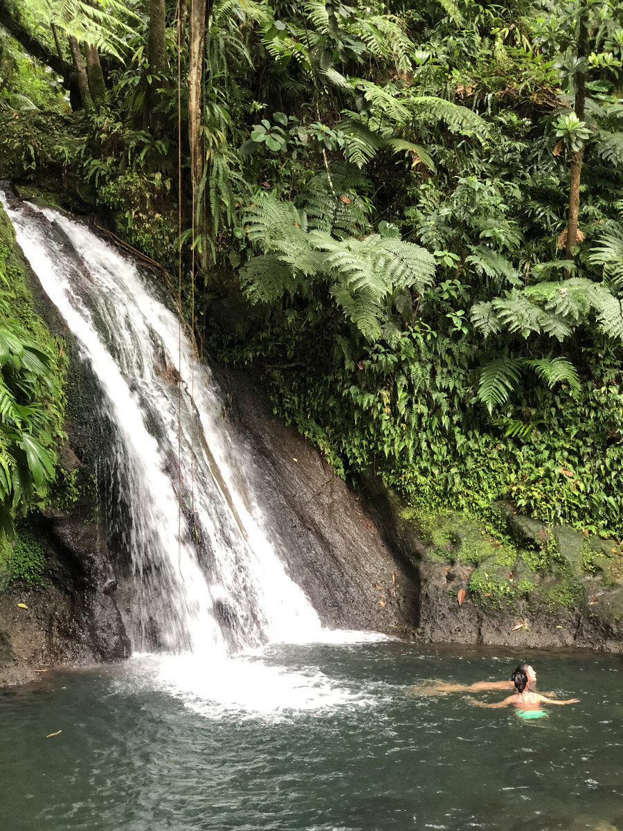 รูปถ่าย กวาเดอลูป(Guadeloupe) น้ำตกกุ้งเครย์ฟิช(Cascade aux ecrevisses) 2021-02 5