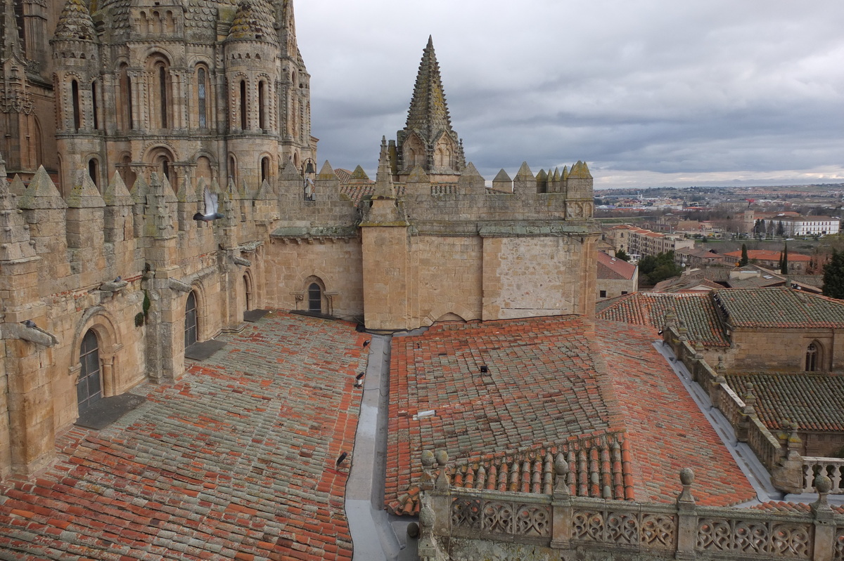 รูปถ่าย สเปน(Spain) ซาลามังกา(Salamanca) 2013-01 97
