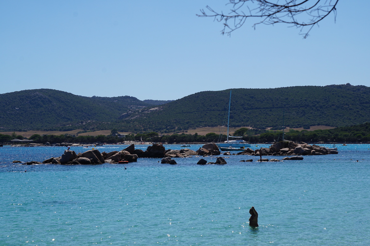 รูปถ่าย ฝรั่งเศส(France) คอร์สิคา(Corsica) หาดซันตาจูเลีย(Santa Giulia Beach) 2017-07 39
