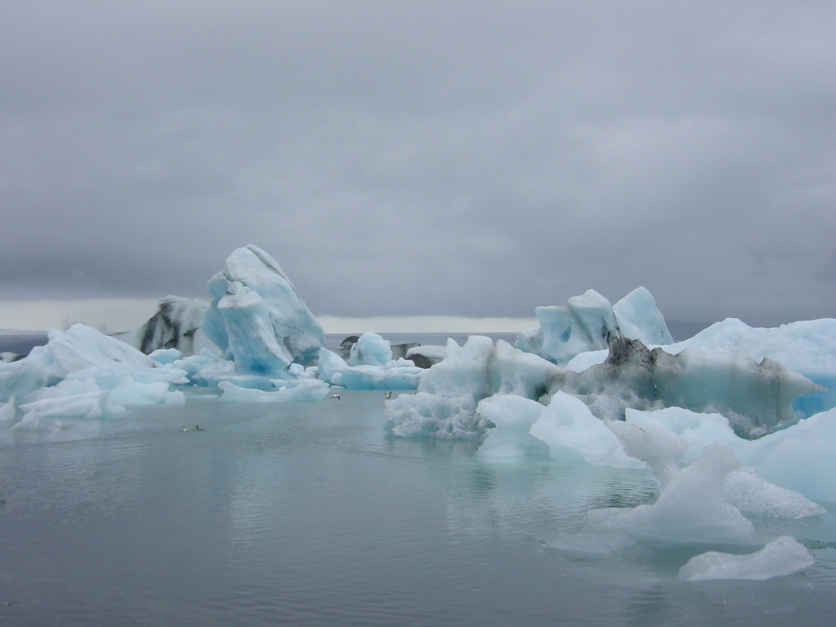 รูปถ่าย ไอซ์แลนด์(Iceland) โจกูลซาร์ลง(Jokulsarlon) 2003-06 55