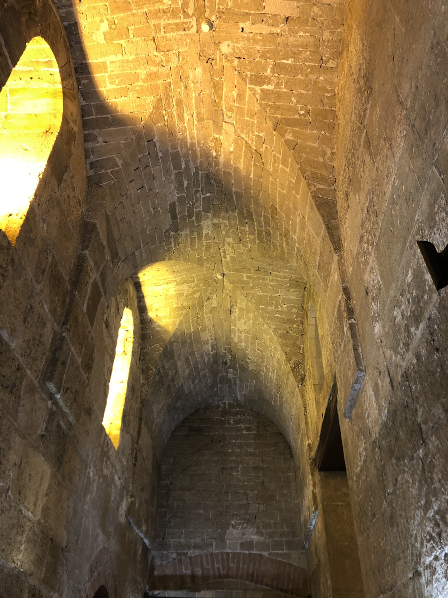 รูปถ่าย อิตาลี(Italy) ซิซิลี(Sicily) ปาแลร์โม(Palermo) วังเดย์นอร์มันนี(Palazzo dei Normanni) 2020-02 170