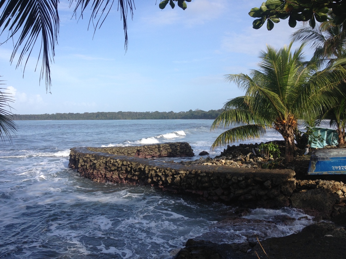 รูปถ่าย คอสตาริกา(Costa Rica) กาอุยตา(Cahuita) 2015-03 73
