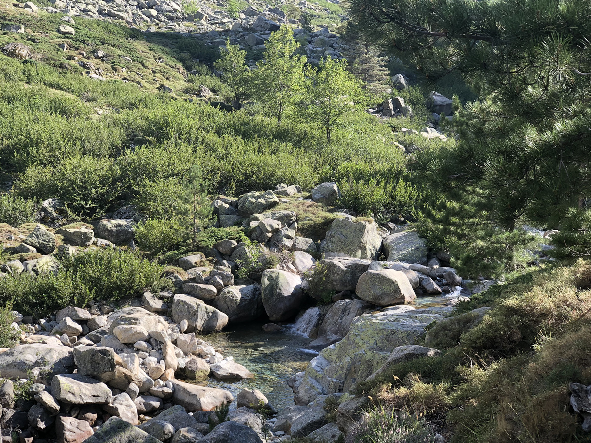 รูปถ่าย ฝรั่งเศส(France) คอร์สิคา(Corsica) หุบเขาลาเรสโตนีกา(La Restonica) 2020-07 19