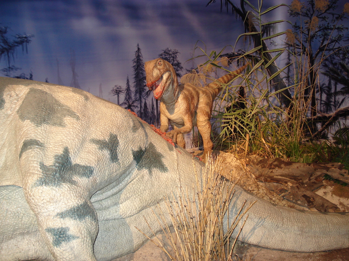 รูปถ่าย ฝรั่งเศส(France) ปารีส(Paris) ปาเลเดอลาเดกูแวร์ต(Palace of Discovery) 2006-04 40