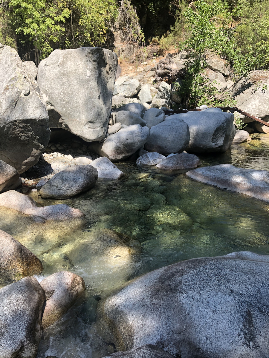 รูปถ่าย ฝรั่งเศส(France) คอร์สิคา(Corsica) หุบเขาลาเรสโตนีกา(La Restonica) 2020-07 136