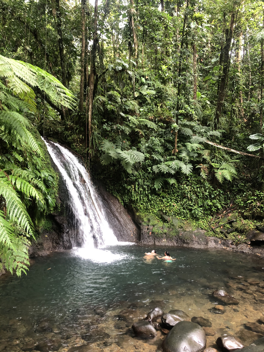 รูปถ่าย กวาเดอลูป(Guadeloupe) น้ำตกกุ้งเครย์ฟิช(Cascade aux ecrevisses) 2021-02 0