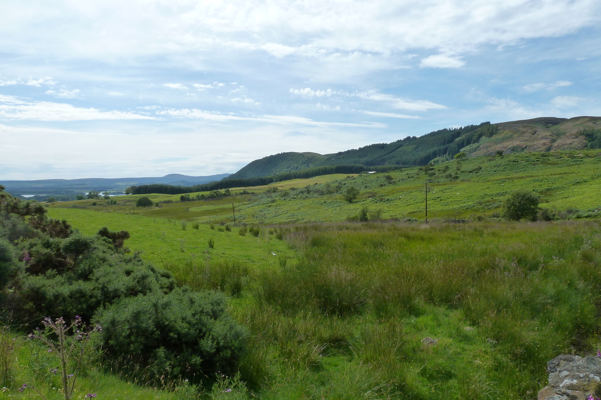รูปถ่าย อังกฤษ(United Kingdom) ทรอสซักส์(The Trossachs) 2011-07 6