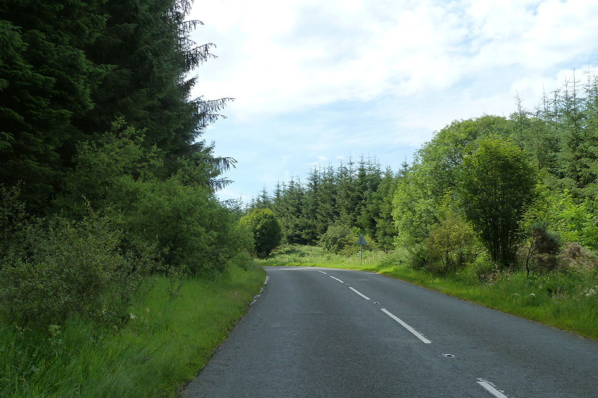 รูปถ่าย อังกฤษ(United Kingdom) ทรอสซักส์(The Trossachs) 2011-07 128