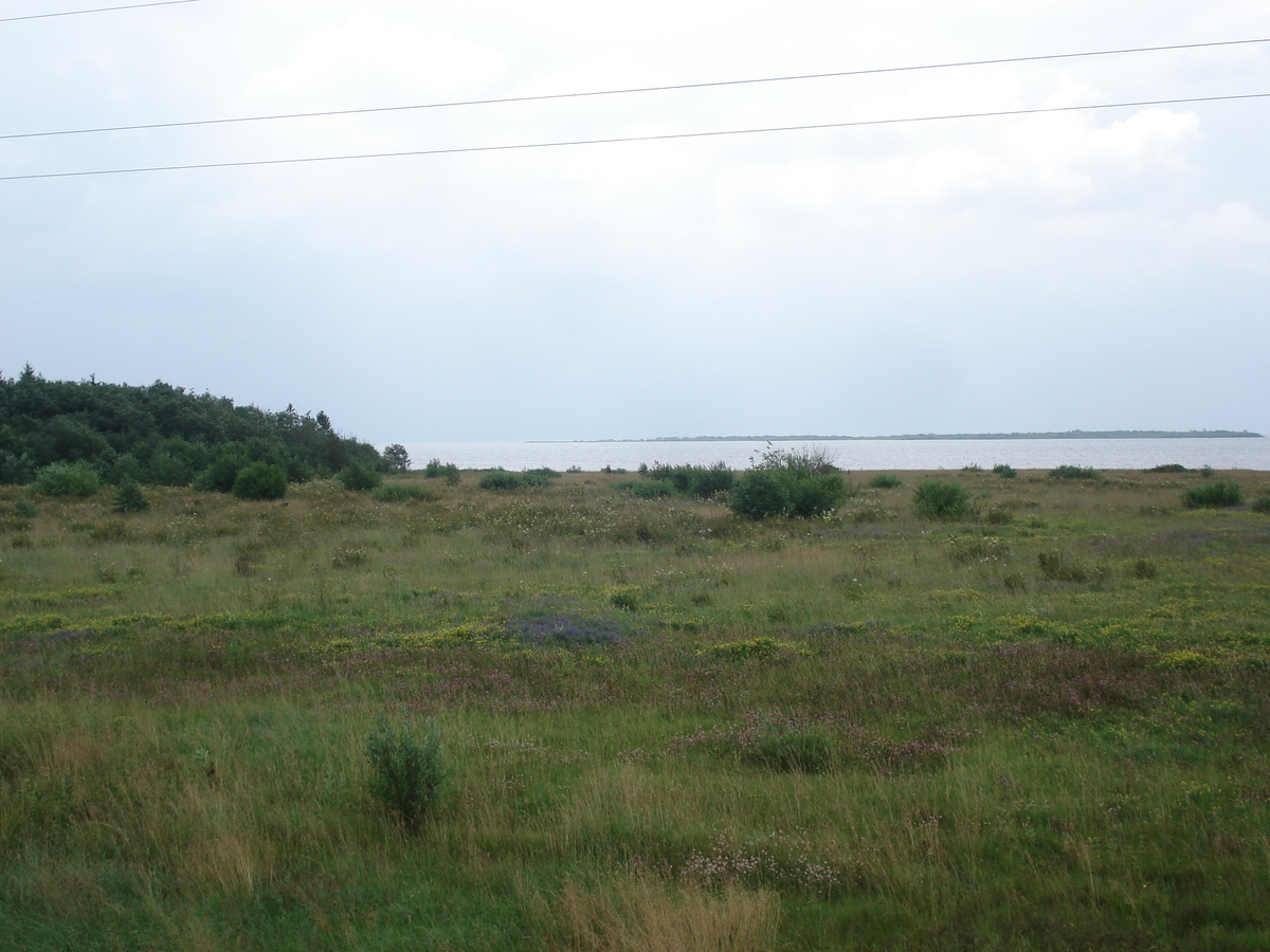รูปถ่าย รัสเซีย(Russia) จากยาโรสลาฟล์ไปเซนต์ปีเตอร์สเบิร์ก(From Yaroslavl to St Petersburg) 2006-07 39