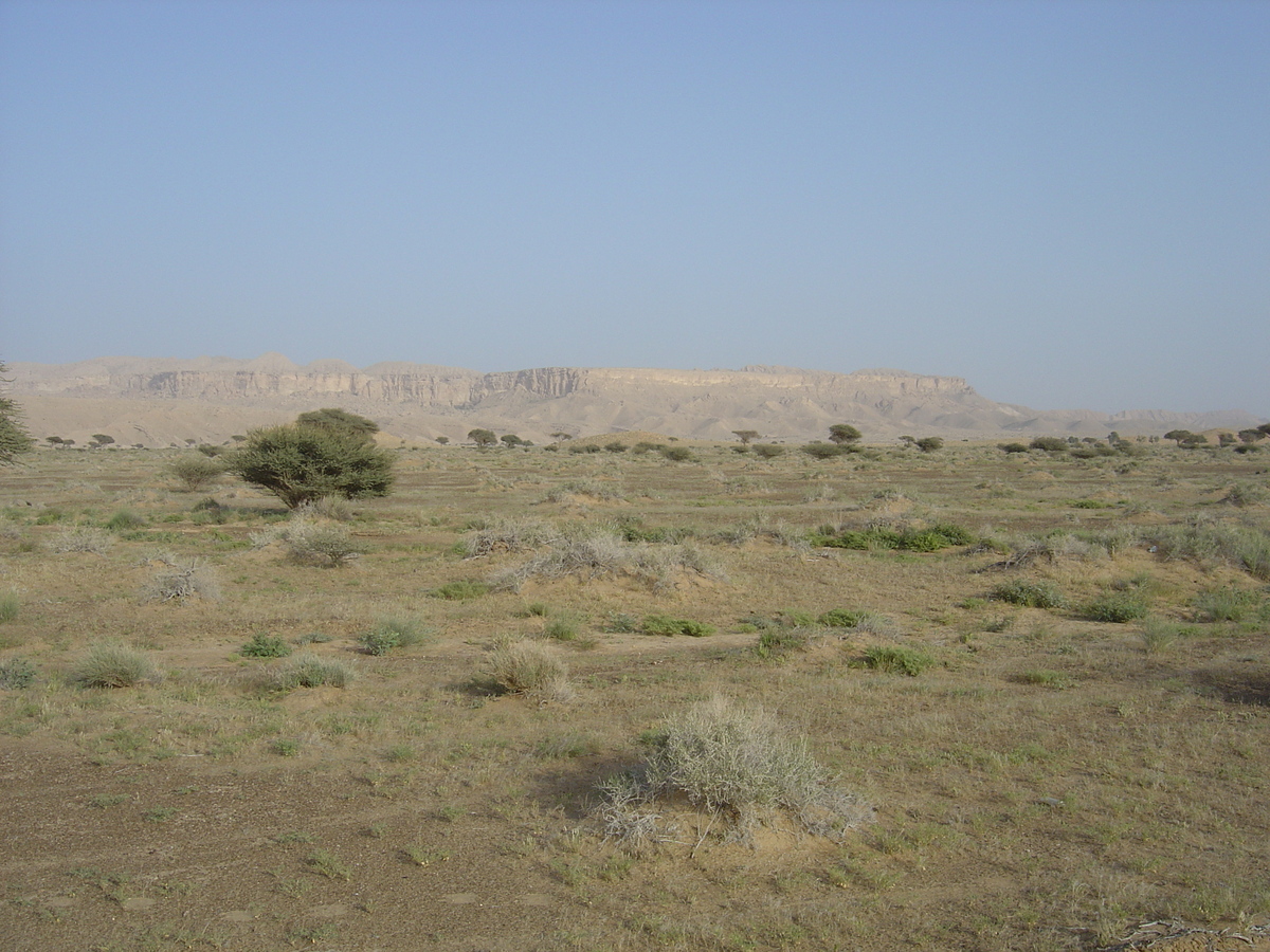 รูปถ่าย โอมาน(Oman) จากบูไมิไปถนนมาฮาดา(Buraimi to Mahada road) 2005-03 2
