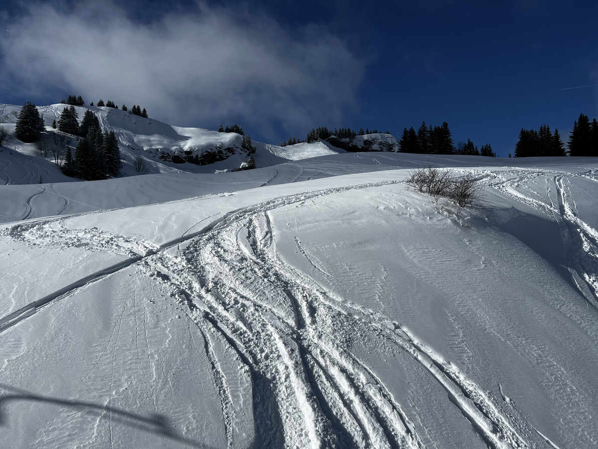 รูปถ่าย ฝรั่งเศส(France) เมแฌฟว์(Megeve) 2022-02 136