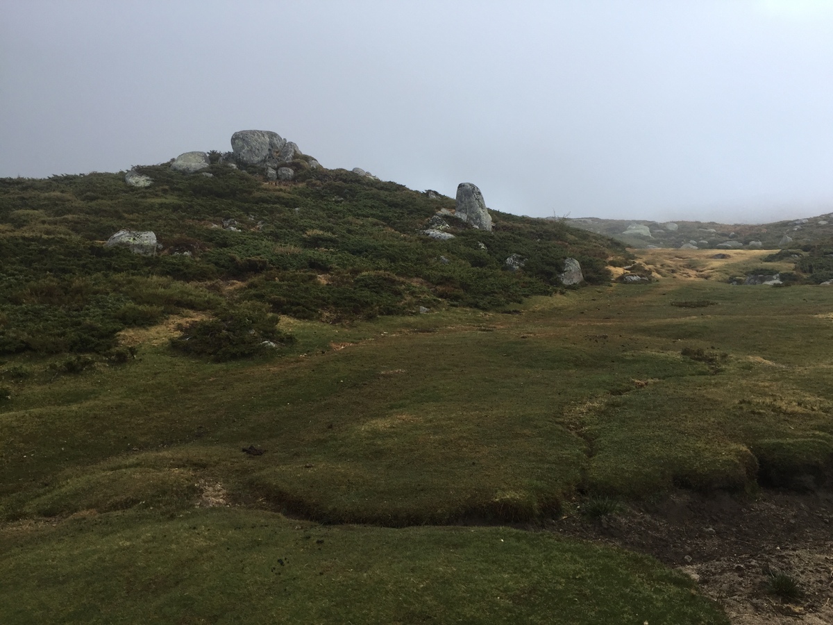 รูปถ่าย ฝรั่งเศส(France) คอร์สิคา(Corsica) อัลตาร็อกกา(Alta Rocca) 2017-09 10
