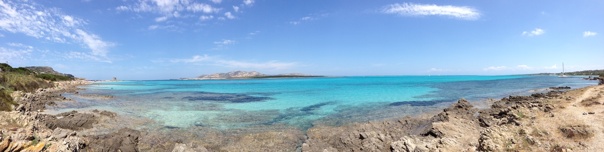 รูปถ่าย อิตาลี(Italy) ซาร์ดิเนีย(Sardinia) แหลมกาโปเดลฟัลโกเน(Capo del Falcone) 2015-06 25