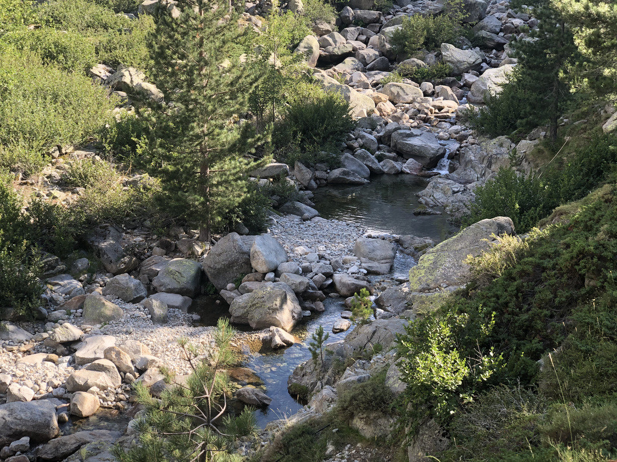 รูปถ่าย ฝรั่งเศส(France) คอร์สิคา(Corsica) หุบเขาลาเรสโตนีกา(La Restonica) 2020-07 63