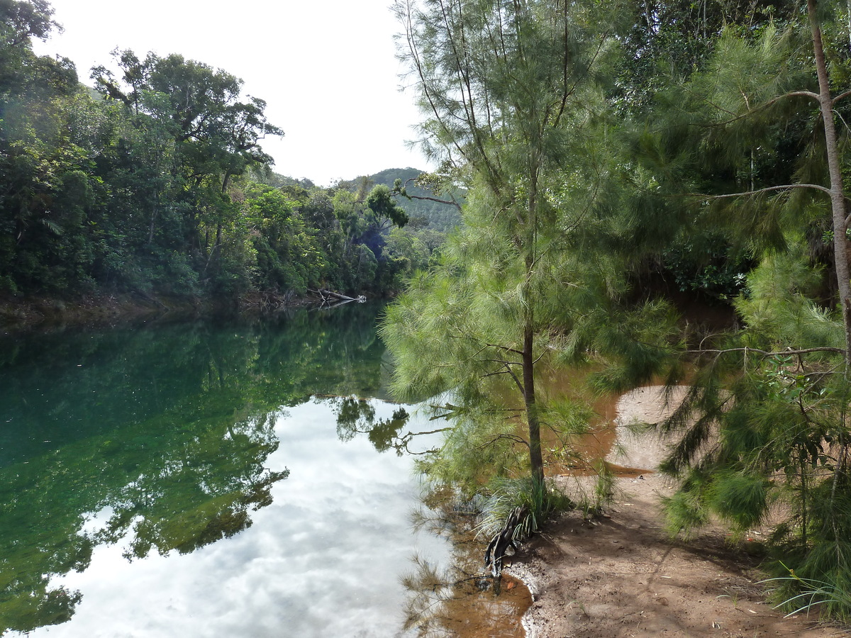รูปถ่าย นิวแคลิโดเนีย(New Caledonia) อุทยานริเวียร์เบลอ(Parc de la Riviere Bleue) 2010-05 157