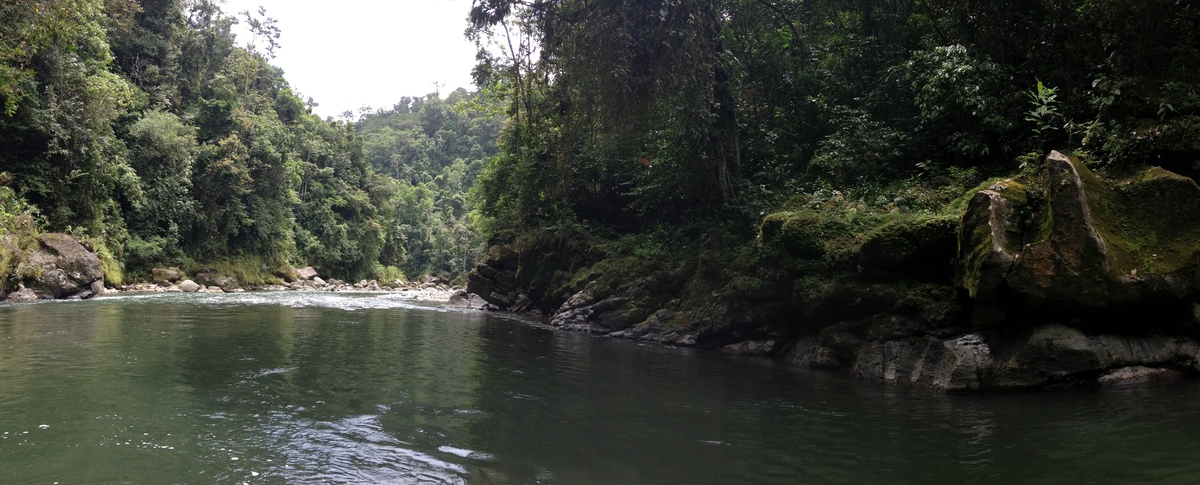 รูปถ่าย คอสตาริกา(Costa Rica) แม่น้ำปากัวเร(Pacuare River) 2015-03 66