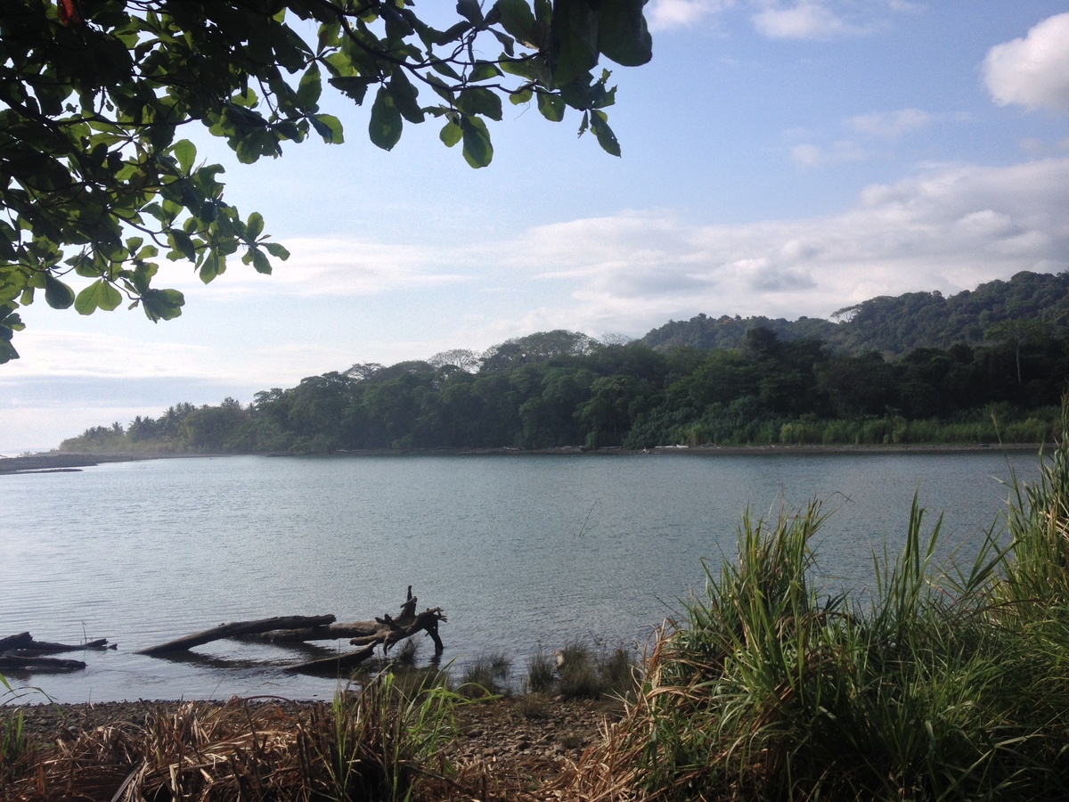 รูปถ่าย คอสตาริกา(Costa Rica) โดมินิกัล(Dominical) 2015-03 77